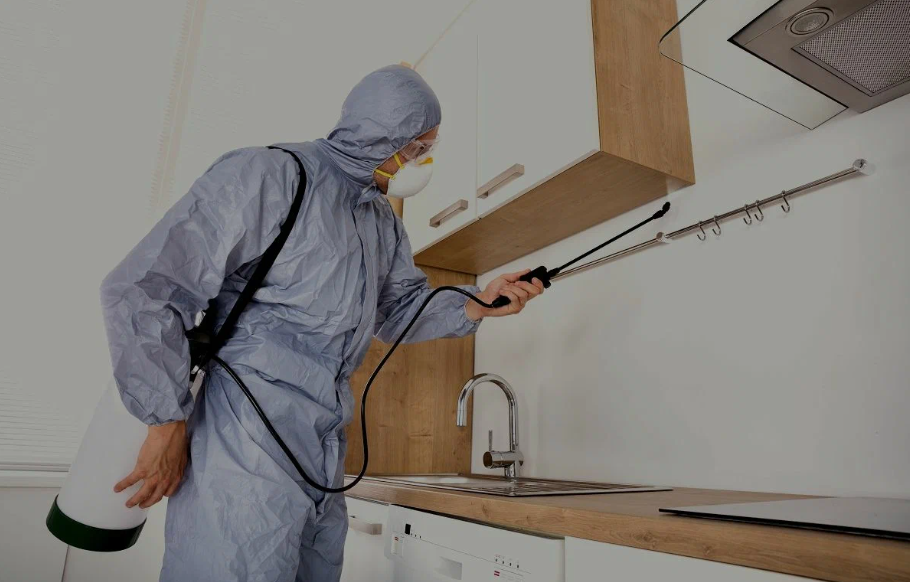 Redondo Beach pest managment